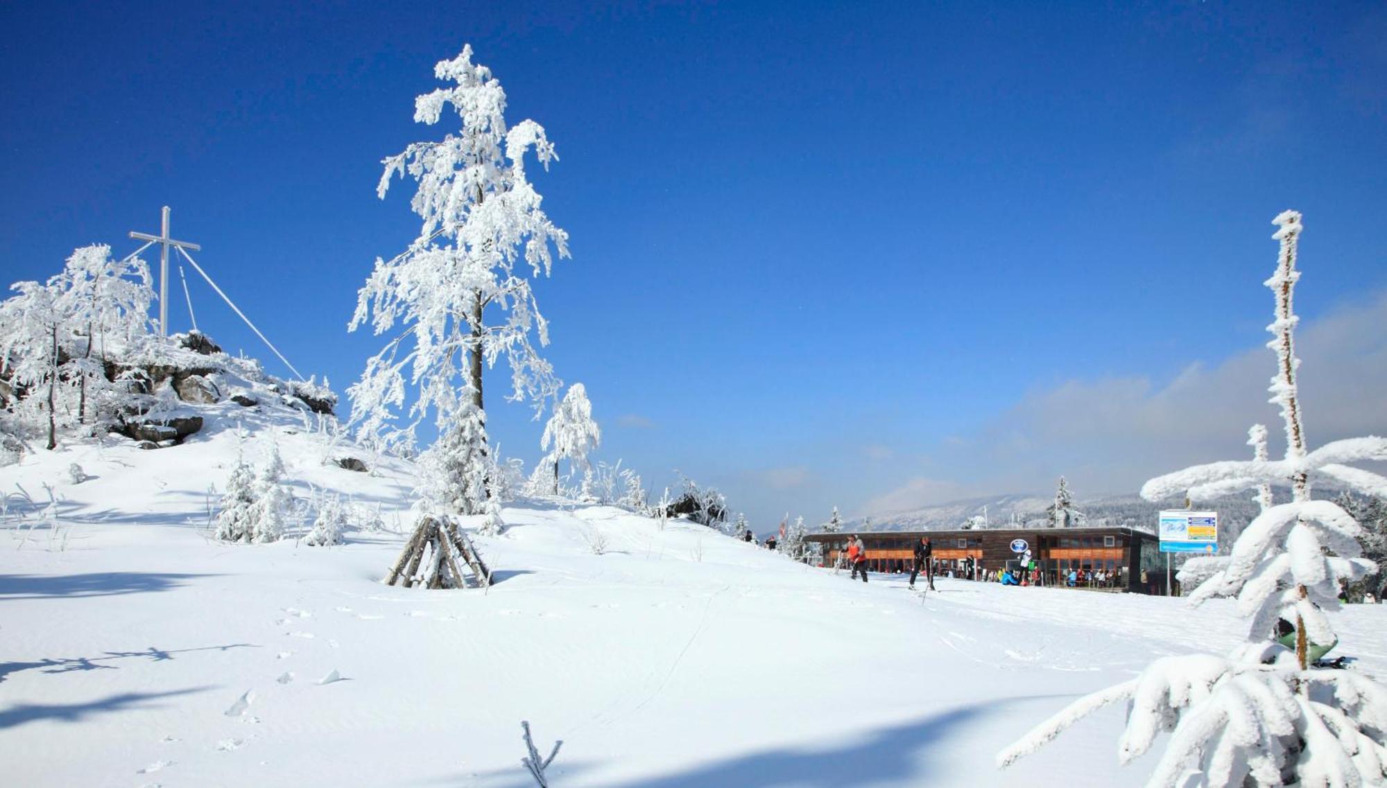 Forsthaus Apartments - Ski + Bike & Hike Klaffer am Hochficht Ngoại thất bức ảnh