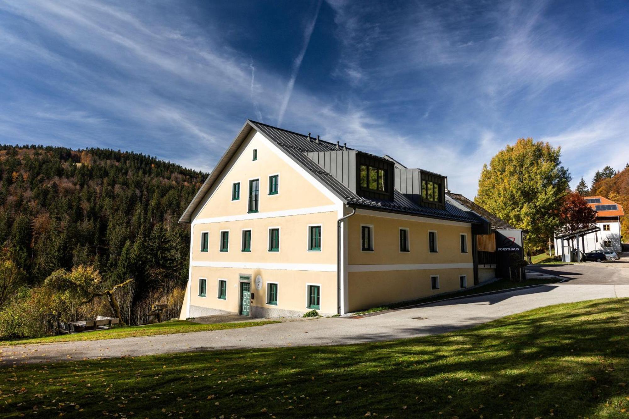 Forsthaus Apartments - Ski + Bike & Hike Klaffer am Hochficht Ngoại thất bức ảnh