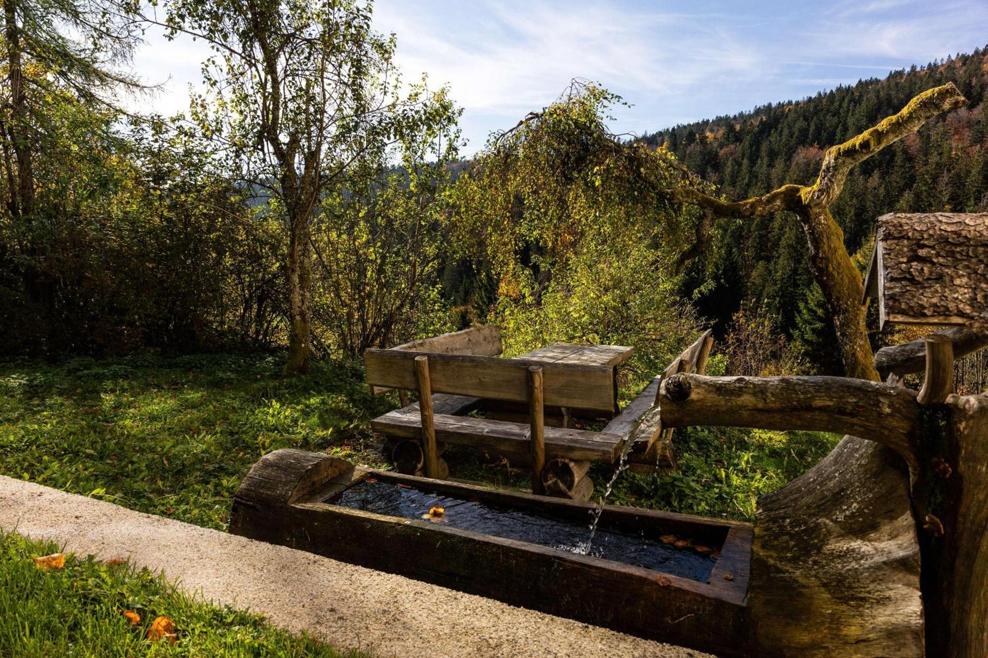 Forsthaus Apartments - Ski + Bike & Hike Klaffer am Hochficht Ngoại thất bức ảnh