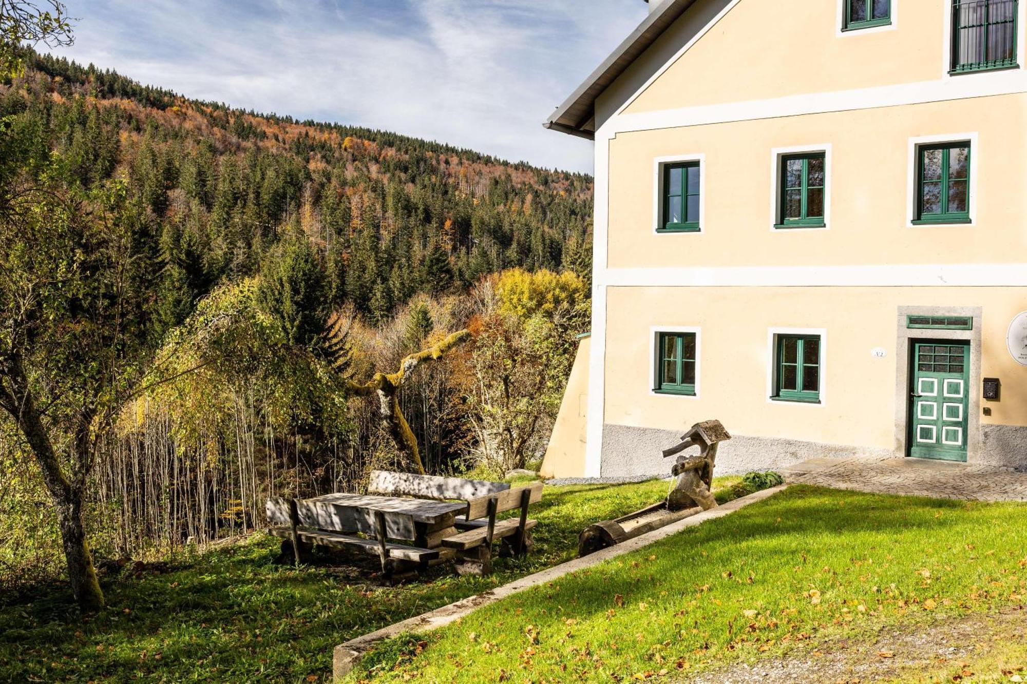 Forsthaus Apartments - Ski + Bike & Hike Klaffer am Hochficht Ngoại thất bức ảnh